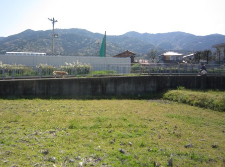 e0198839_22432810.jpg