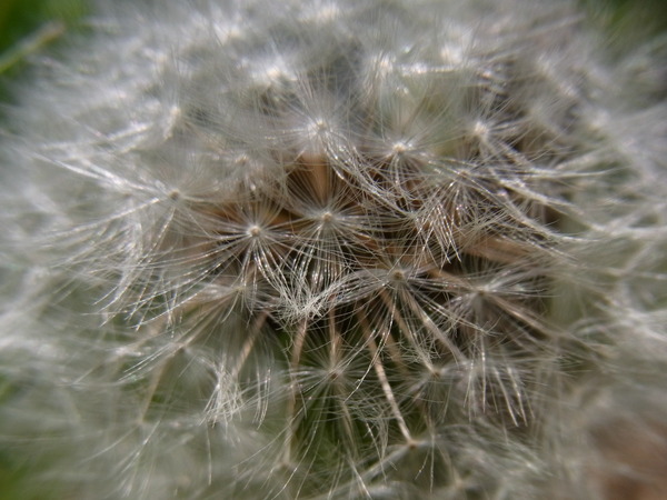 a0175545_20025.jpg