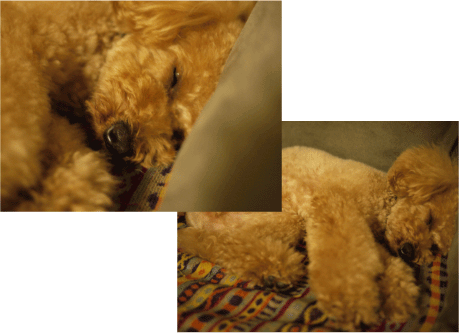 b0182846_21571953.gif