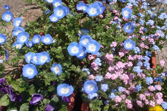b0200747_18483472.jpg