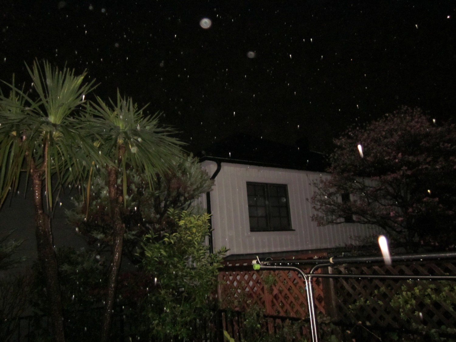 d0075649_99423.jpg
