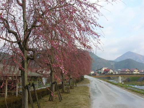 b0174451_7423592.jpg