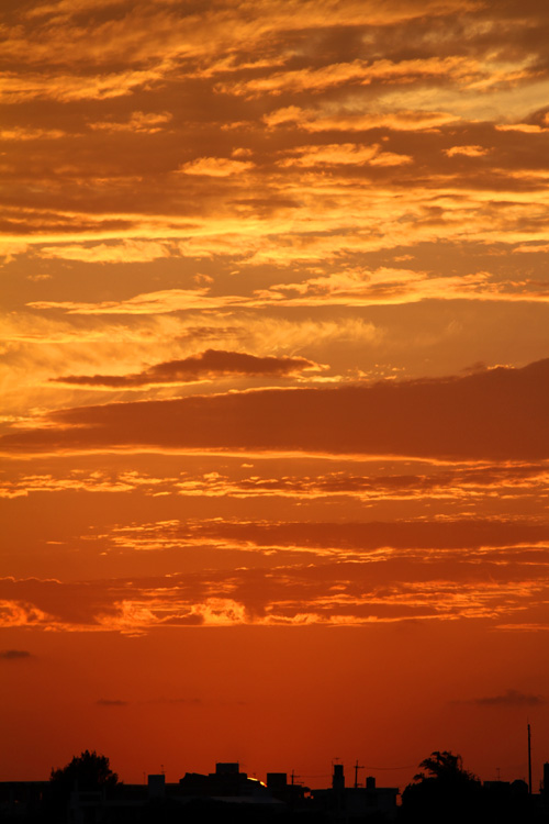 b0049152_17535635.jpg