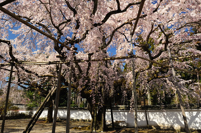 f0222161_23305498.jpg