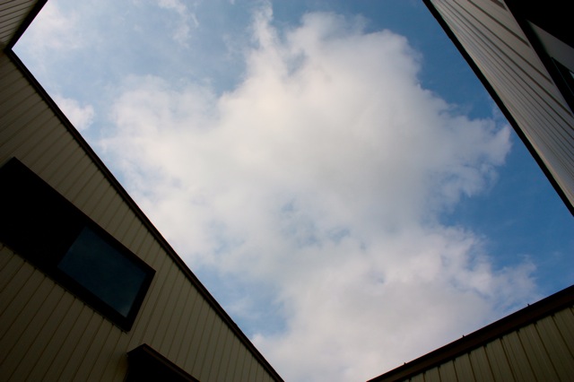 a0143164_1704312.jpg