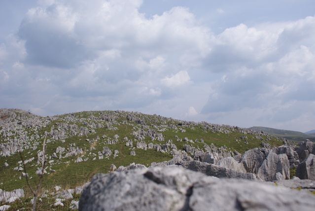 a0091666_23305547.jpg