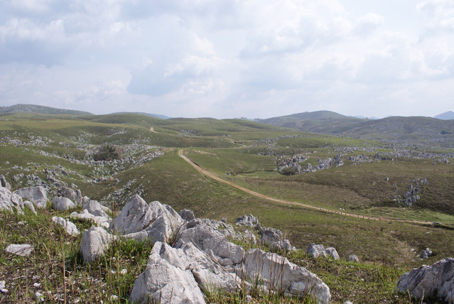 a0091666_2359251.jpg
