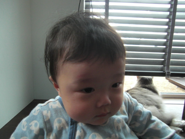 f0200773_7552139.jpg