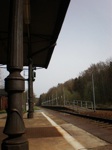 c0117175_032666.jpg