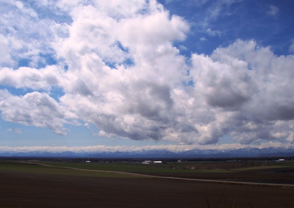a0169776_21551145.jpg