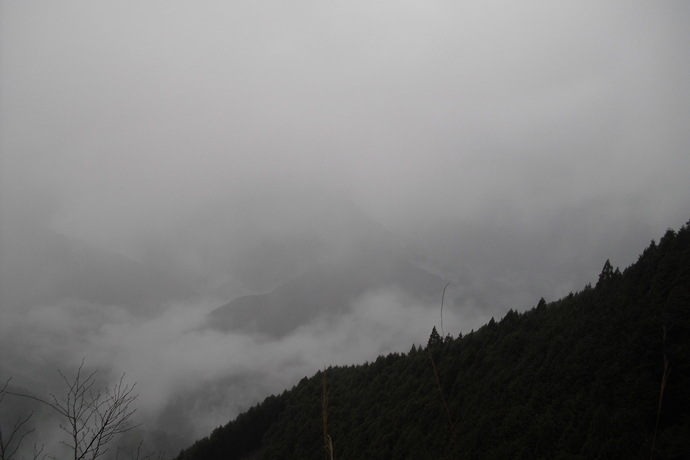 c0019376_20374455.jpg