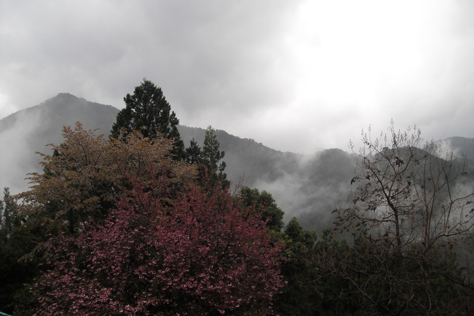 c0019376_20434020.jpg