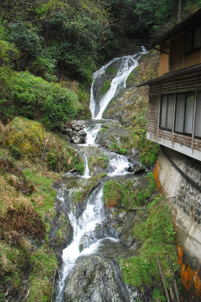 c0019376_204797.jpg