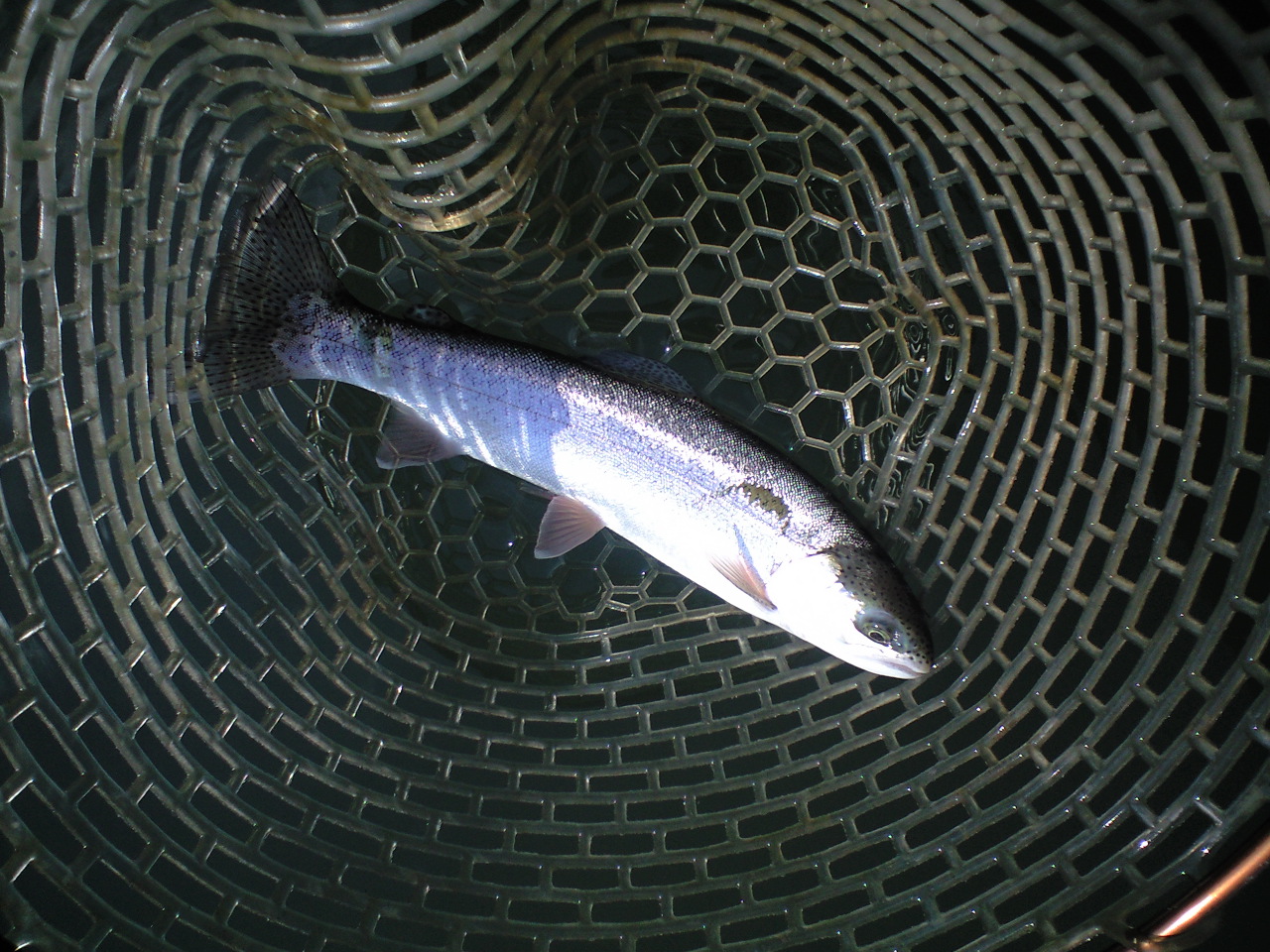 a0093677_22101284.jpg