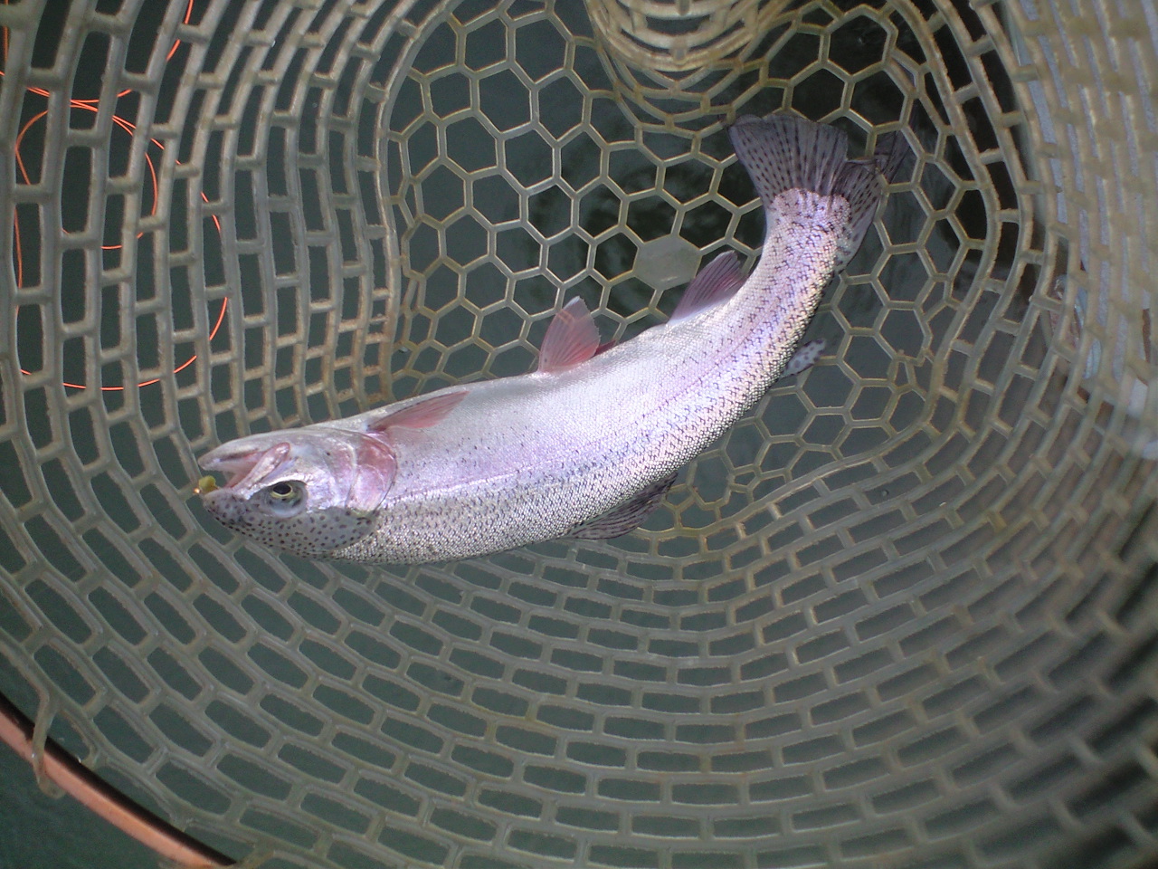 a0093677_22194949.jpg