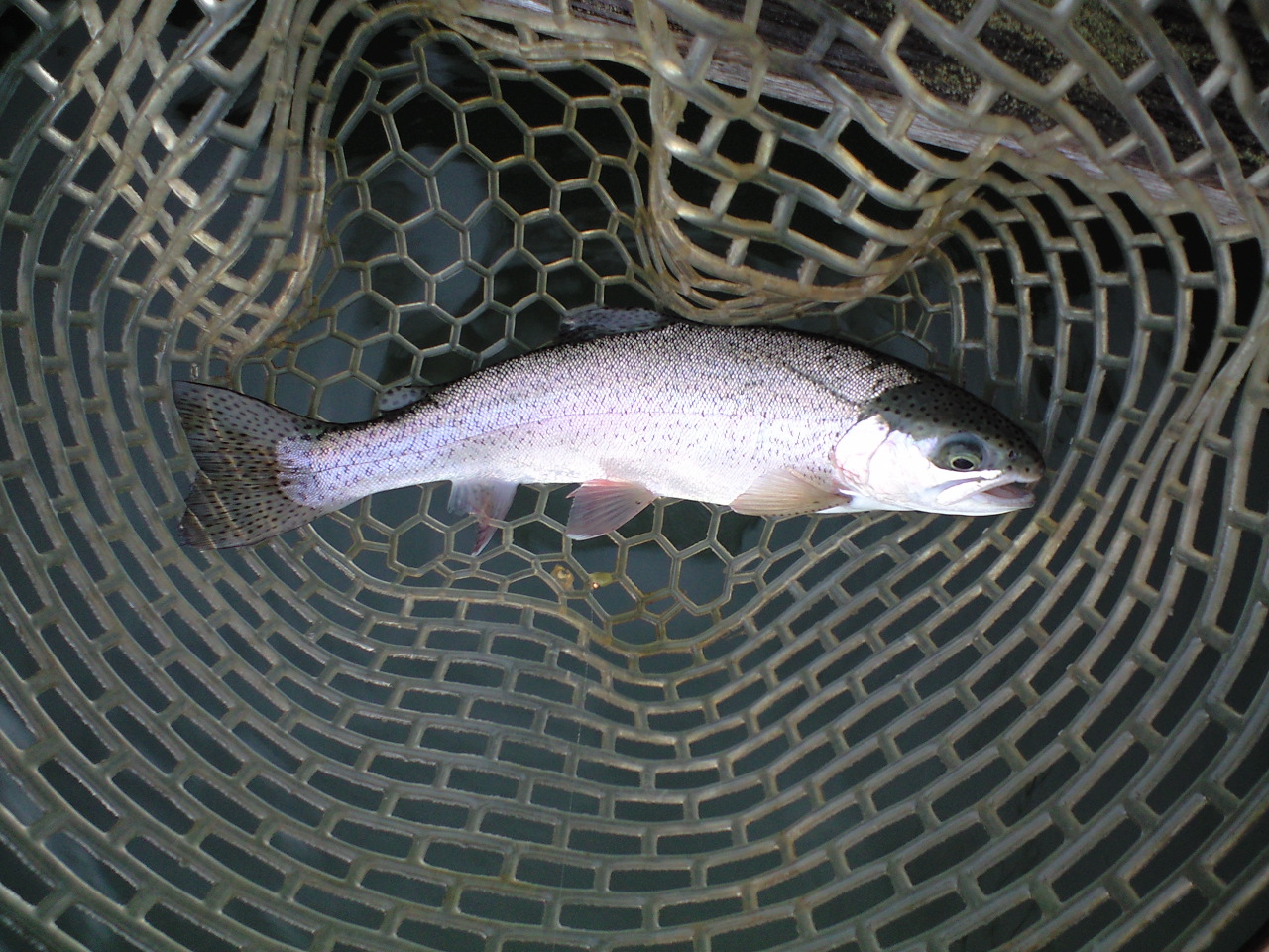 a0093677_22222480.jpg