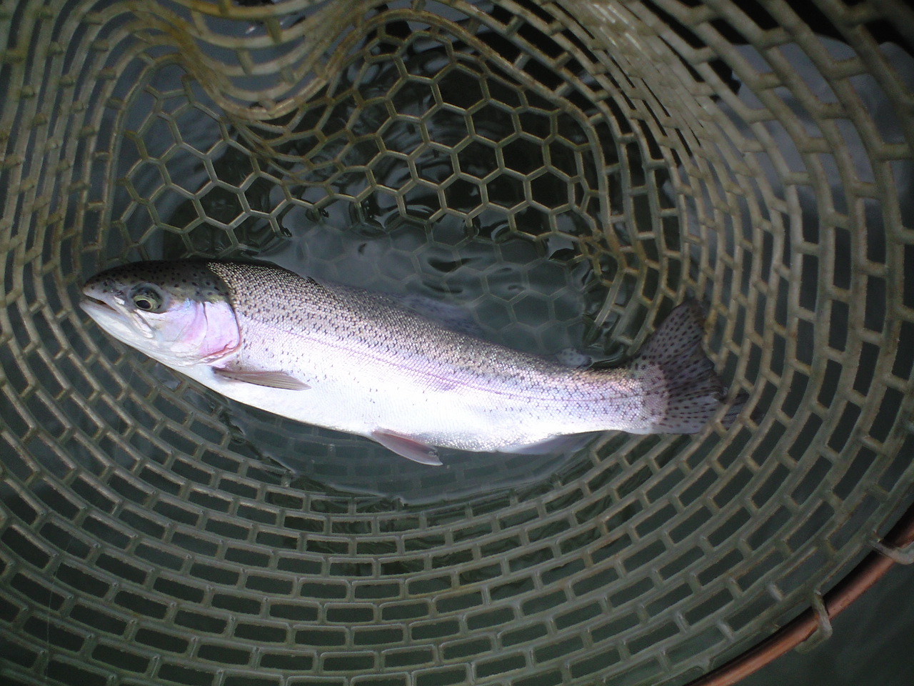 a0093677_2222382.jpg