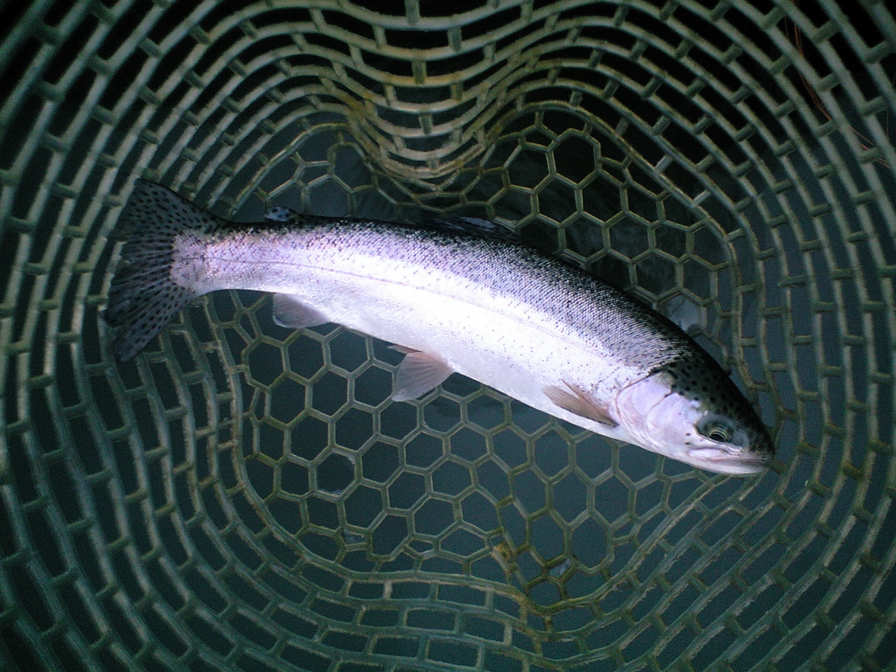 a0093677_2223166.jpg