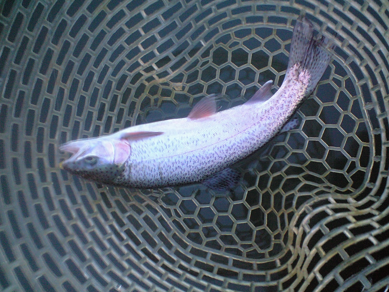 a0093677_22471120.jpg