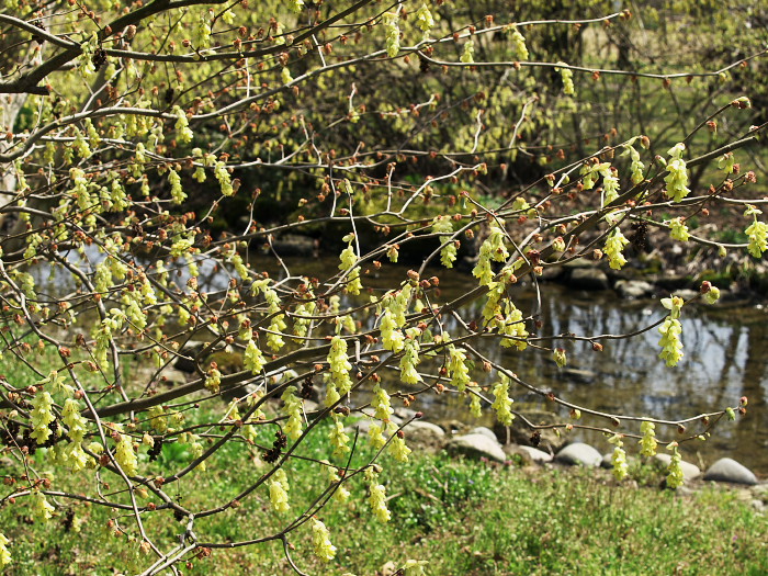 a0096177_2273916.jpg