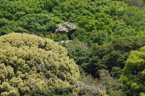 f0054677_6383227.jpg