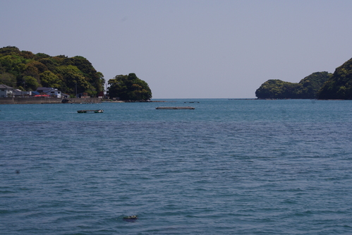 f0054677_641234.jpg