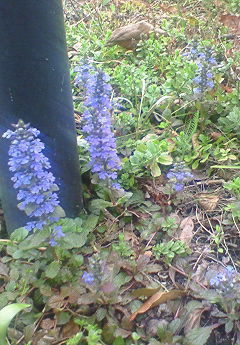 f0215179_8322422.jpg