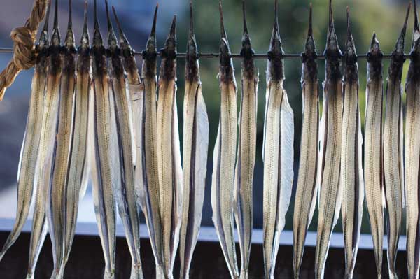 細魚の干物