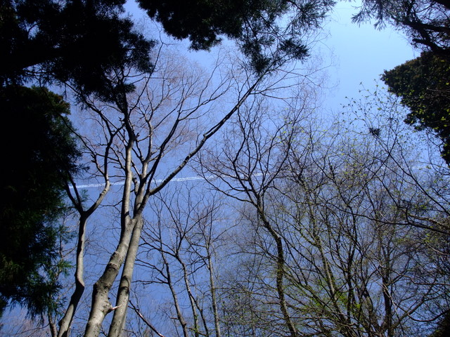 a0043982_1573967.jpg