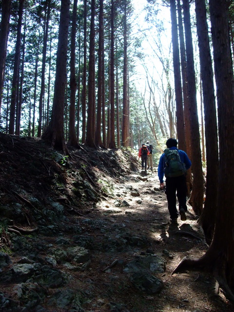 a0043982_1574727.jpg