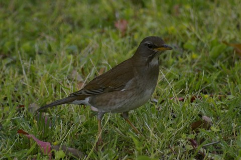 e0197884_20554335.jpg
