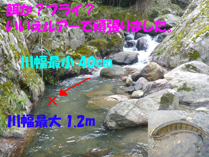 f0183484_2014883.jpg