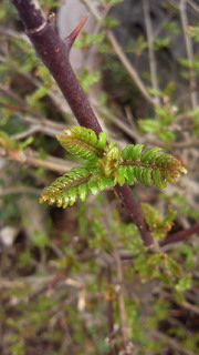 e0175288_22283572.jpg