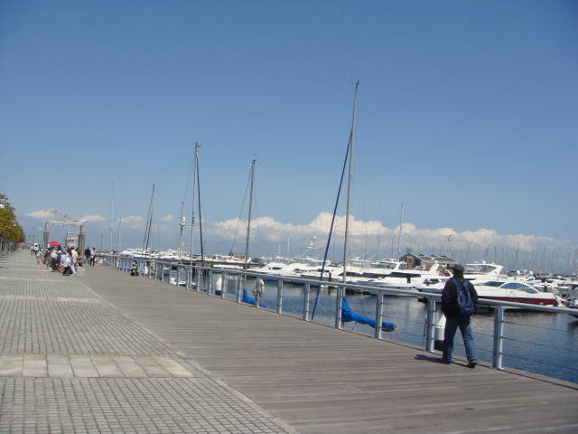d0098295_22485553.jpg