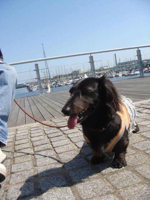 d0098295_22504995.jpg