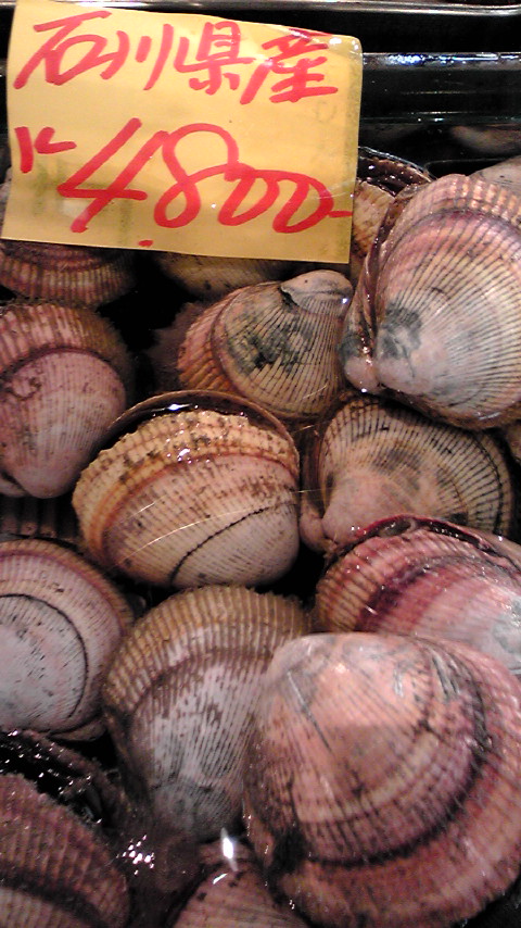 f0084695_10333466.jpg