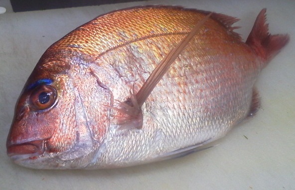 f0084695_13372150.jpg