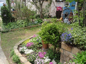 e0207503_2059784.jpg