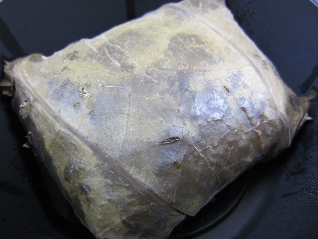 f0197703_14535269.jpg