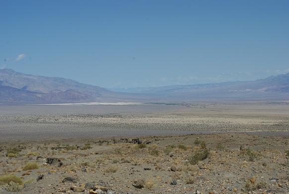 f0038904_1641843.jpg