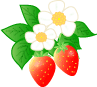 e0159905_11309.gif
