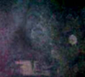 e0103408_17501890.jpg