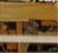 e0103408_18191215.jpg