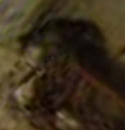 e0103408_18194412.jpg