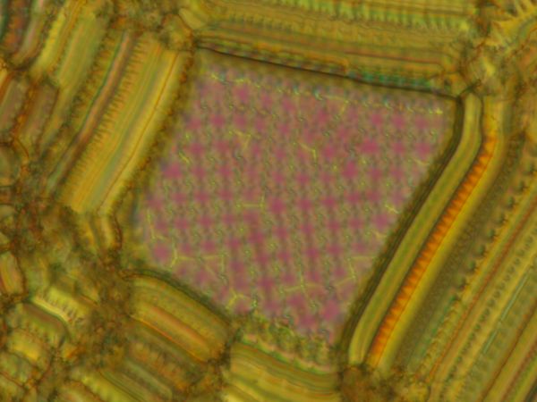 c0164709_21521014.jpg