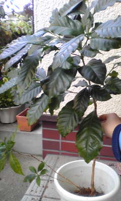 c0180209_18444258.jpg