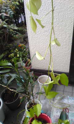 c0180209_18521741.jpg