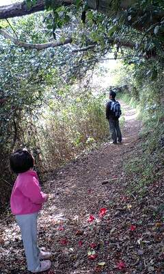 f0008510_1743764.jpg