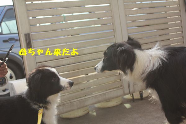 d0224111_7404438.jpg