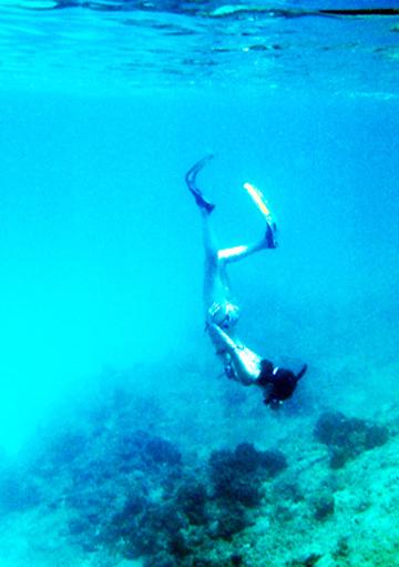 e0200811_23452739.jpg